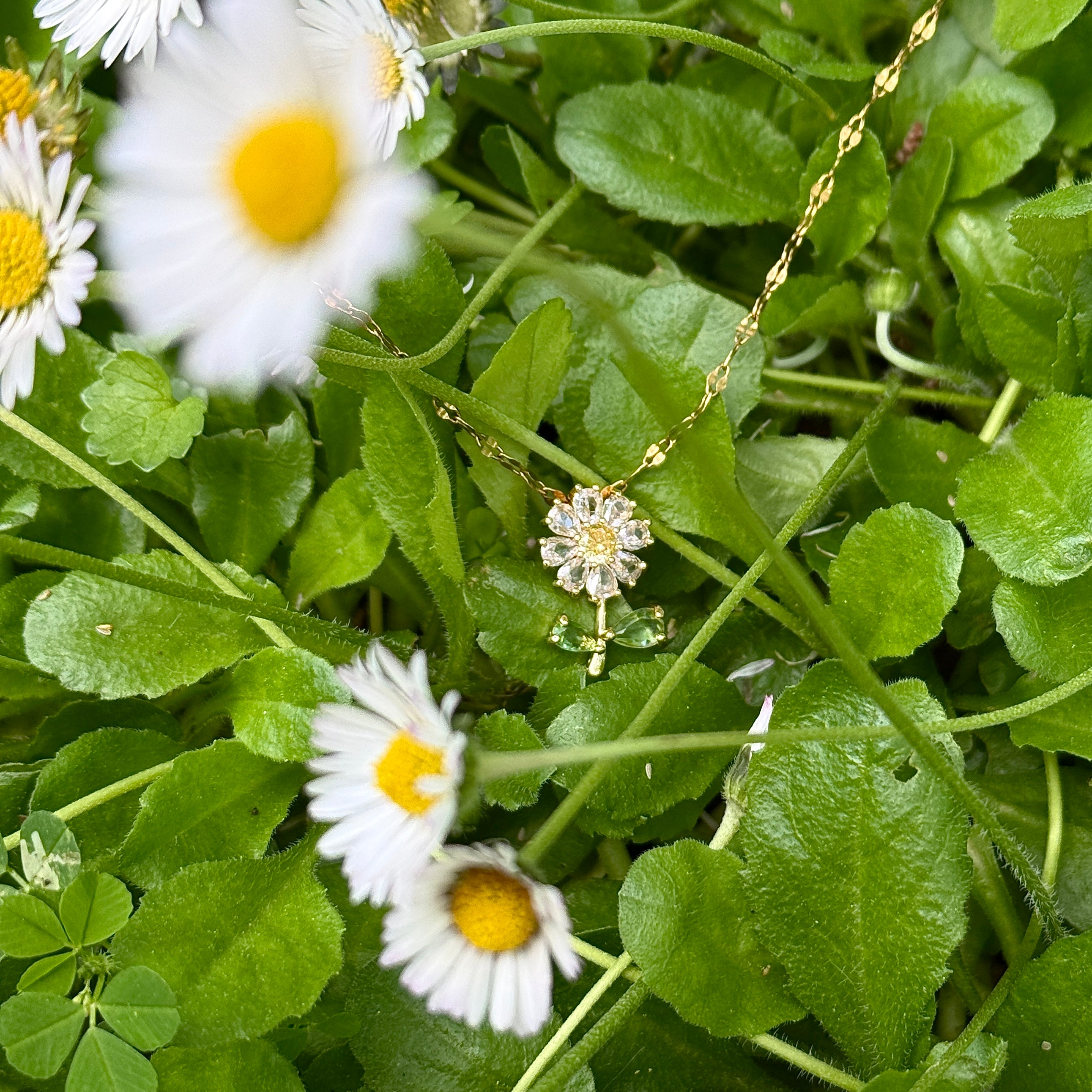 Altın Kaplama Papatya Kolye